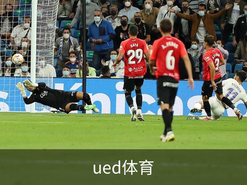 UED体育（国际）网页版登陆